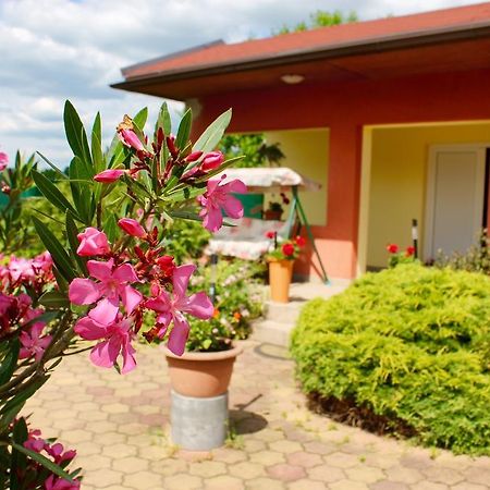 Anna Panzio Bed & Breakfast Egerszalók Dış mekan fotoğraf